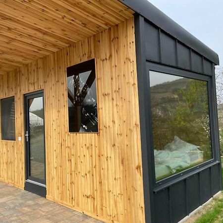 Kubiq Transalpina Villa Petresti Luaran gambar