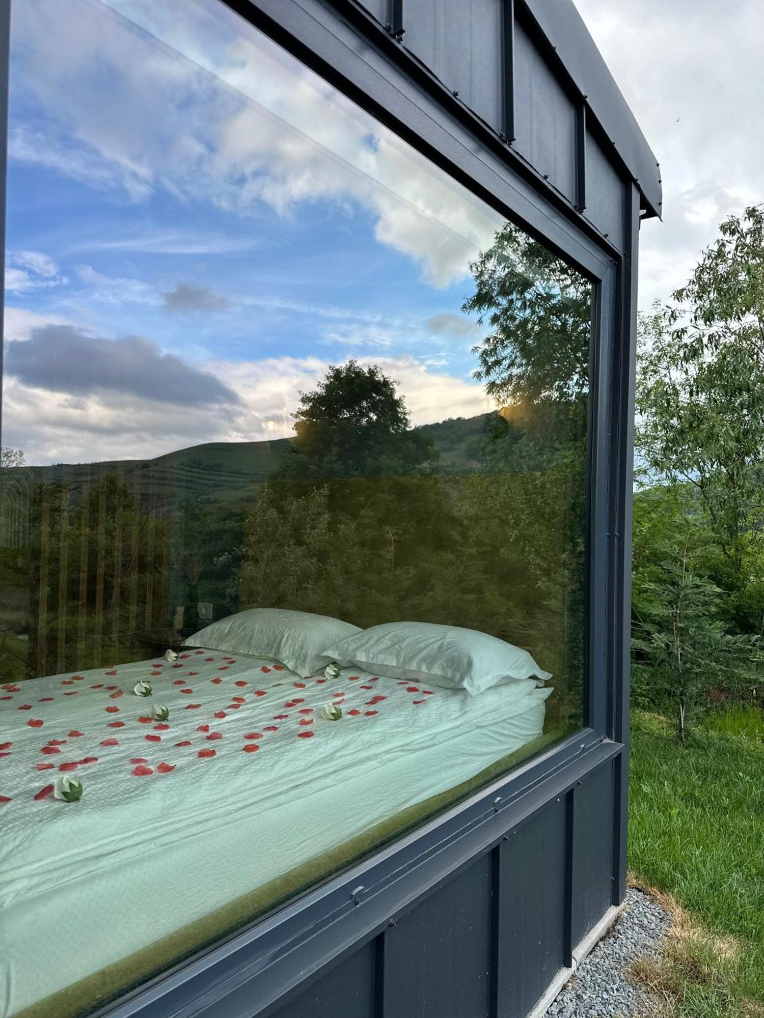 Kubiq Transalpina Villa Petresti Luaran gambar